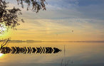 Ferienhaus - Marissa Resort/Dümmer See , Deutschland - DDS230 28