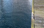 Hausboot - Seebär, OstseeResort Olpenitz , Deutschland - DFH138 18