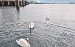 Houseboat - Hausboot, OstseeResort Olpenitz , Germany - DFH027 20