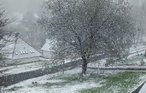 Feriehus - Frankenau , Tyskland - DHE309 16