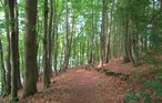 Feriehus - Kirchheim/Hessen , Tyskland - DHE182 34
