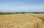 Ferienhaus - Boiensdorf , Deutschland - DMK597 26