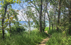 Ferienwohnung - Insel Poel/Gollwitz , Deutschland - DMK146 14