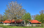 Ferienhaus - Hohendorf/Ostsee , Deutschland - DMK951 14