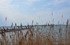 Feriehus - Altefähr/Rügen , Tyskland - DMR603 24