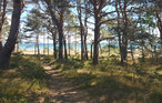 Ferieleilighet - Prora/Rügen , Tyskland - DMR778 25