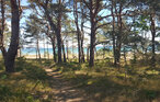 Ferieleilighet - Prora/Rügen , Tyskland - DMR735 37