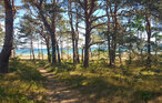 Ferieleilighet - Prora/Rügen , Tyskland - DMR723 32