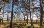 Ferieleilighet - Prora/Rügen , Tyskland - DMR827 14