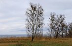 Ferienwohnung - Rechlin/Müritz , Deutschland - DMV860 8