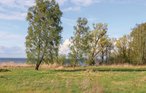Ferieleilighet - Rechlin/Müritz , Tyskland - DMV861 29