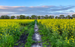 Ferieleilighet - Alpaka 3 Ferienwhg.- Schmatzin , Tyskland - DMV921 34