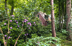 Feriehus - Wingst , Tyskland - DNS230 12