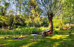 Feriehus - Wingst , Tyskland - DNS230 15