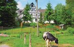 Ferieleilighet - Bad Berleburg-Berghausen , Tyskland - DNW822 7