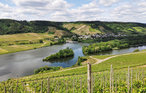 Ferienwohnung - Mehring , Deutschland - DRP118 12