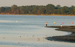 Ferieleilighet - Travemünde-Priwall , Tyskland - DSH533 15