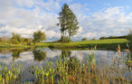 Ferienhaus - Süsel , Deutschland - DSH062 20
