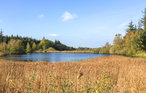 Semesterhus - Langenhorn , Tyskland - DSH286 25