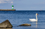 Ferieleilighet - Travemünde-Priwall , Tyskland - DSH533 17