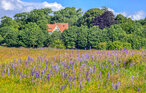 Ferienwohnung - Elfenwiese - Glücksburg Holnis , Deutschland - DSL247 34