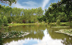Ferieleilighet - Waltershausen/Fischbach , Tyskland - DTH167 21