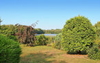 Ferieleilighet - Wokuhl-Dabelow , Tyskland - DZV217 11