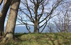 Feriehus - Gilleleje , Danmark - E03357 24