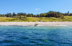 Ferienhaus - Vejby Strand , Dänemark - E07362 21