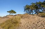 Feriehus - Tibirke Sand/Asserbo , Danmark - E11171 27