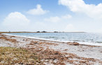 Feriehus - Rørvig , Danmark - E17256 23