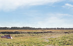 Feriehus - Ellinge Lyng , Danmark - E19774 28