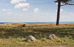 Feriehus - Nyborg Nordstrand , Danmark - E2015 25