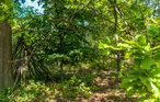 Feriehuse - Bjerge Sydstrand , Danmark - E20163 14