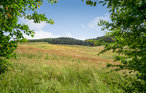 Ferieleilighet - Knebel Strand , Danmark - E4203 11