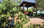 Holiday home - Sileras-Almedinilla , Spain - EAC093 16