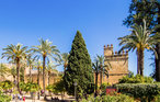 Lejlighed - Cordoba , Spanien - EAC922 13