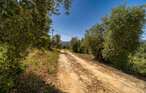 Domy wakacyjne - Zahara de la Sierra , Hiszpania - EAC941 22