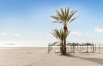 Apartment - Torremolinos , Spain - EAG830 19
