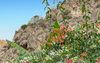 Ferienhaus - Costa Tropical, Salobreña , Spanien - EAT108 13