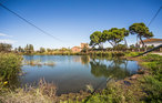 Burriana