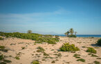 Ferienwohnung - Santa Pola , Spanien - EBC151 25