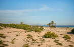 Apartment - Santa Pola , Spain - EBC199 17