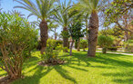 Apartment - Torrevieja , Spain - EBC213 13