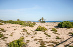 Ferieleilighet - Los Arenales del Sol , Spania - EBI475 20