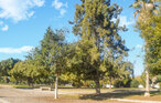 Feriehus - Torrevieja , Spania - EBI281 13