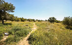 Ferienwohnung - Torrevieja , Spanien - EBL565 7