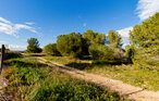 Semesterlägenhet - Torrevieja , Spanien - EBL557 23