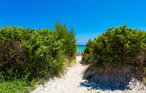 Feriehus - Sa Platja, Playa de Muro , Spania - EMF082 19