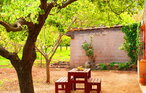 Feriehus - Gonzalo, Valldemossa , Spania - EMF107 11